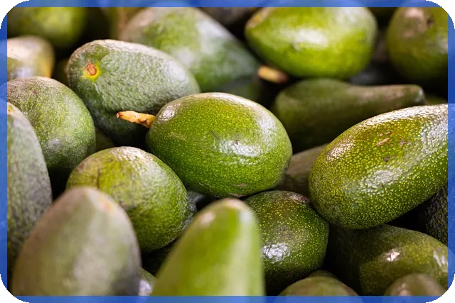 피라맥스관련주 코로나 재확산 수혜 기대 증가