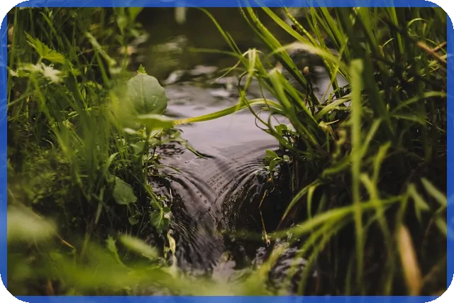 하나제약주가 급등 전망과 투자 분석