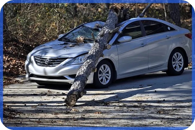 호반건설주가 상승세의 비밀은 무엇인가
