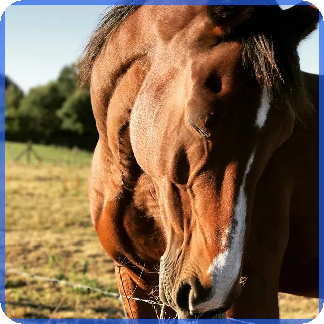 내생에 첫주택 대출 조건 연봉은? 알고 계신가요
