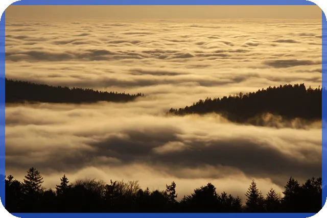 내생에 첫주택 대출 조건 연봉은? 알고 계신가요