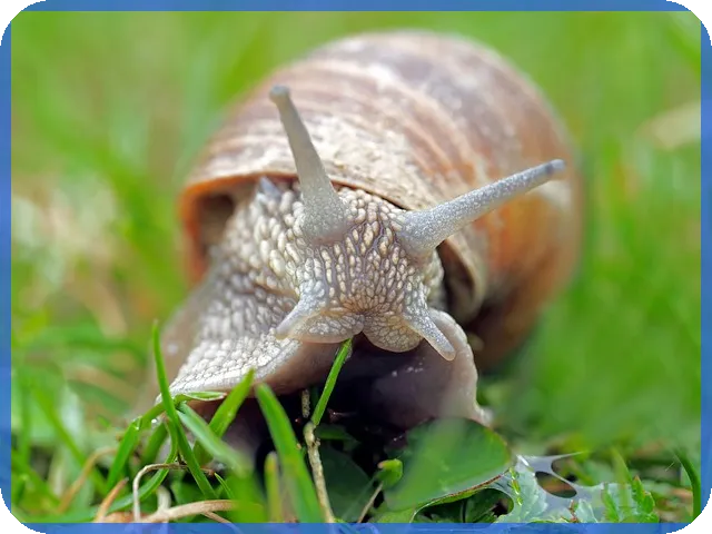 대출 연체기록 삭제 방법은 무엇인가