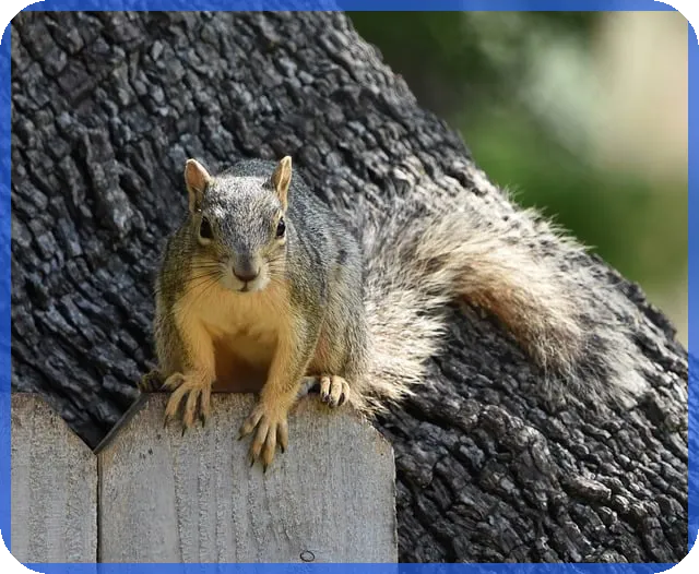 무직비상금대출 가능 여부와 연장 조건은 무엇일까
