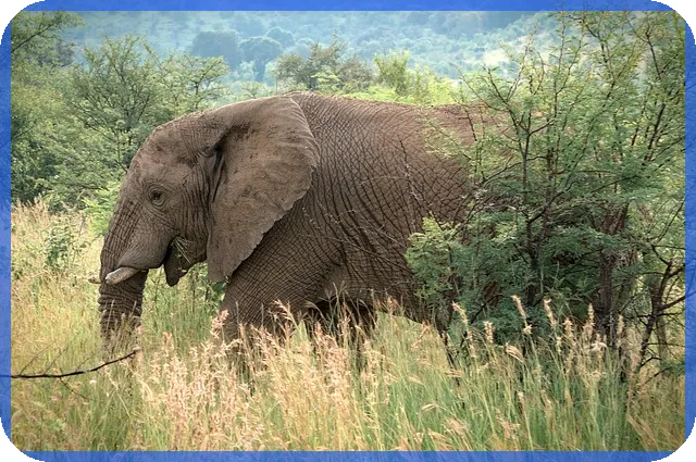 분양 아파트 대출한도 계산법과 핵심 전략