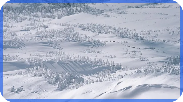 은행대출 필요서류 꼭 챙기기 성공 비밀