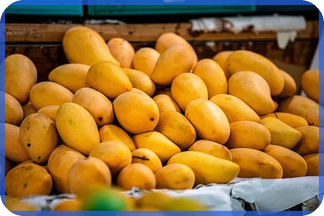 대부업체대출조회 필수 가이드로 안전한 후순위 대출 시작하기