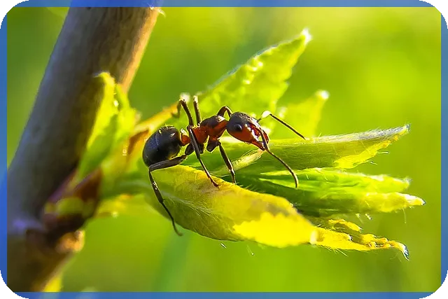 삼부토건주가 조작 의혹과 차트 분석으로 드러나는 흔적