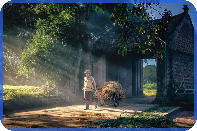 삼부토건주가 조작 의혹과 차트 분석으로 드러나는 흔적
