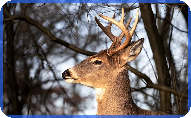 삼부토건주가 조작 의혹과 차트 분석으로 드러나는 흔적