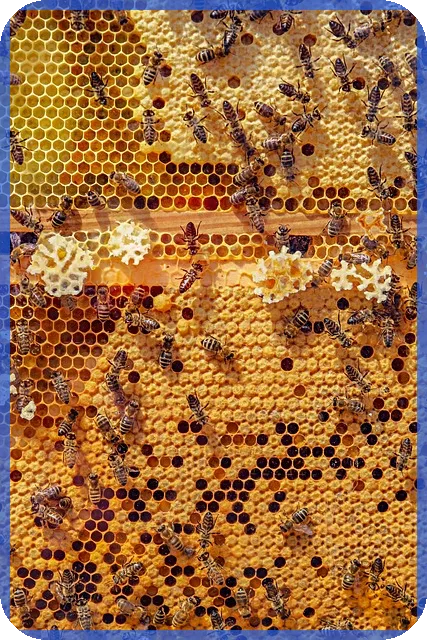 저축은행금리비교 방법과 최저금리 찾기 전략