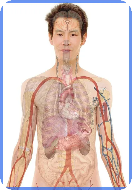 정기예금계산으로 예상 수익 바로 확인하는 방법