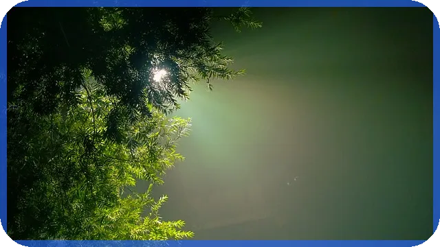 IHQ주가 위기와 재무 악화 분석 전문가 진단