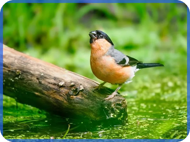 대전무보증월세 안전하게 선택하는 방법은?