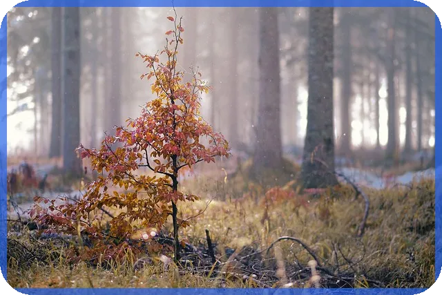 대전무보증월세 안전하게 선택하는 방법은?