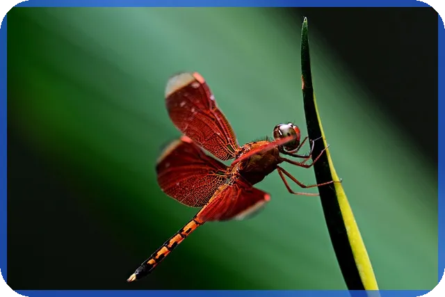 대전무보증월세 안전하게 선택하는 방법은?