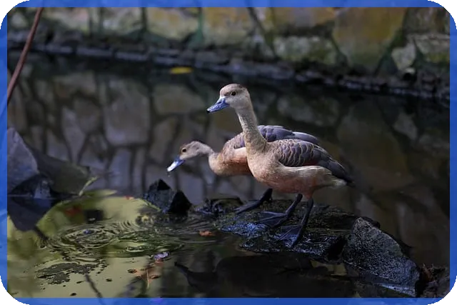 숨은보험찾기 무료조회로 내 보험금 찾아보세요