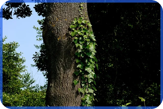 숨은보험찾기 무료조회로 내 보험금 찾아보세요