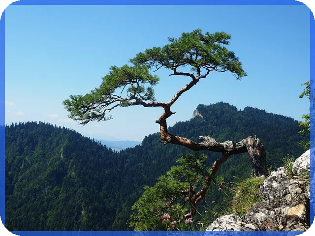 저축은행종류와 차이점 알아보기