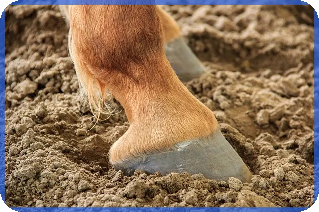 중고차셀토스 구매 가이드와 뛰어난 성능 분석