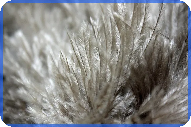 증권계좌추천 최신 2025 혜택과 선택 포인트