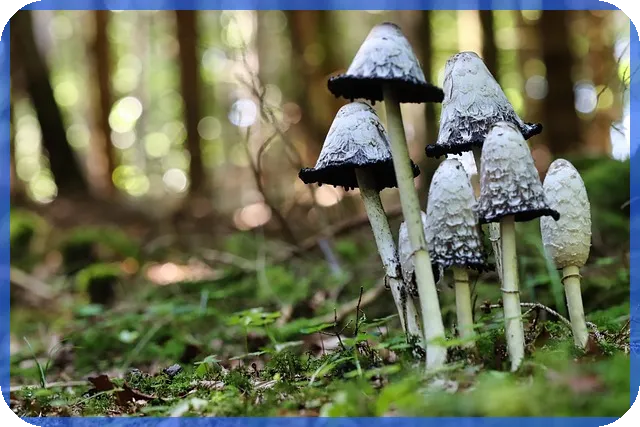 증권계좌추천 최신 2025 혜택과 선택 포인트