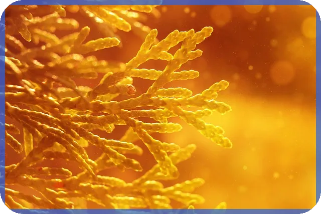 증권계좌추천 최신 2025 혜택과 선택 포인트