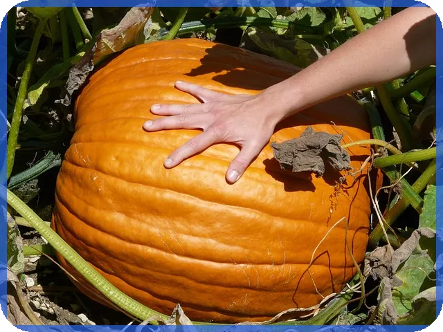 이율계산기 활용법으로 정기예금 수익 극대화하는 방법